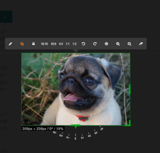 file-xyAPYTeKA9.jpg
