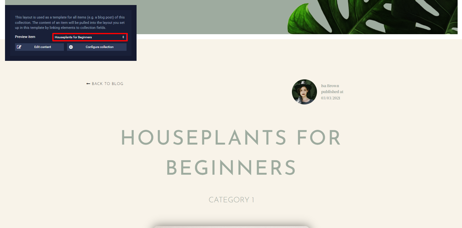 Single-Page-Layout-1.png