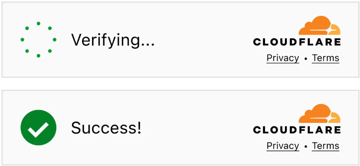 Turnstile_Non-Interactive-Widget.png