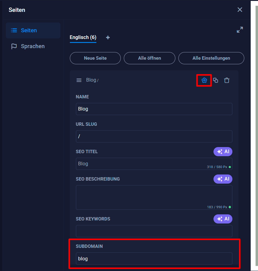 Seiten_Subdomain_Settings.png
