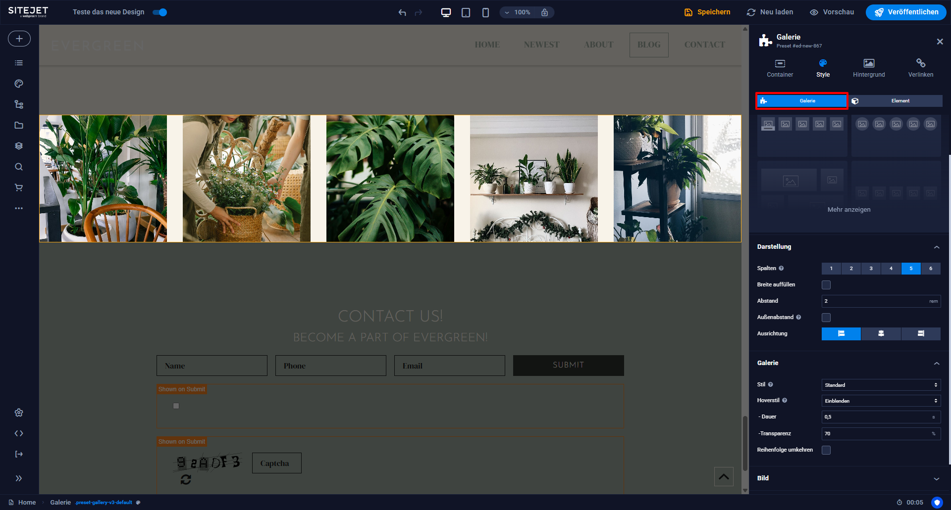 Website-Section-Einstellungen.png
